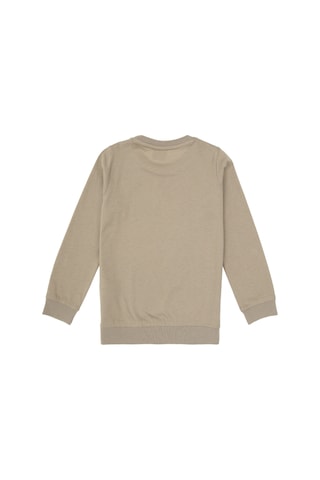 U.S. Polo Assn. Erkek Çocuk Açık Haki Bisiklet Yaka Sweatshirt 50314939-VR183