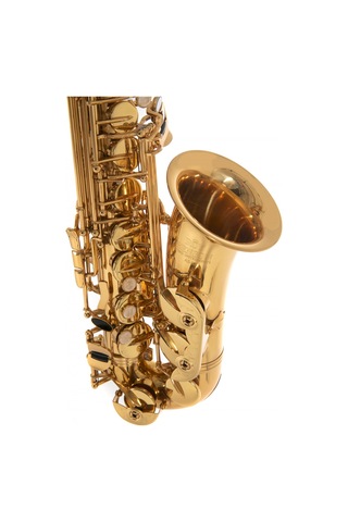 Roy Benson As-202 Alto Saksafon Başlangıç/eğitim - Eb Alto Pi