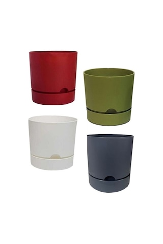 4 Adet Polıwork Saksı Begonya 25 Cm