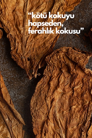 Nature's Scents Anti Tobacco Oda Kokusu Yedek Makine Spreyi 250 Ml Diğer