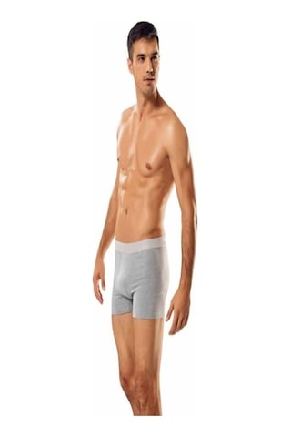 Tutku Erkek Gri Likralı Boxer 5'Li Paket 001