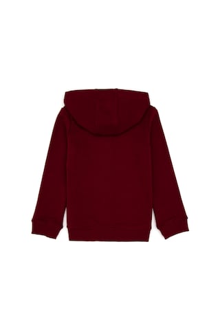 U.S. Polo Assn. Kız Çocuk Bordo Kapüşonlu Fermuarlı Basic Sweatshirt 50316837-VR014