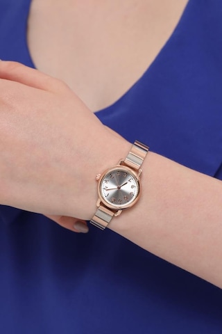 Demeter Gümüş Kadran Rose-gümüş Kordon Kadın Kol Saati Rose Gold