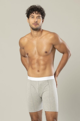 Erdem Gri Melanj Pamuk Elastan Uzun Boxer 1416 Gri Melanj