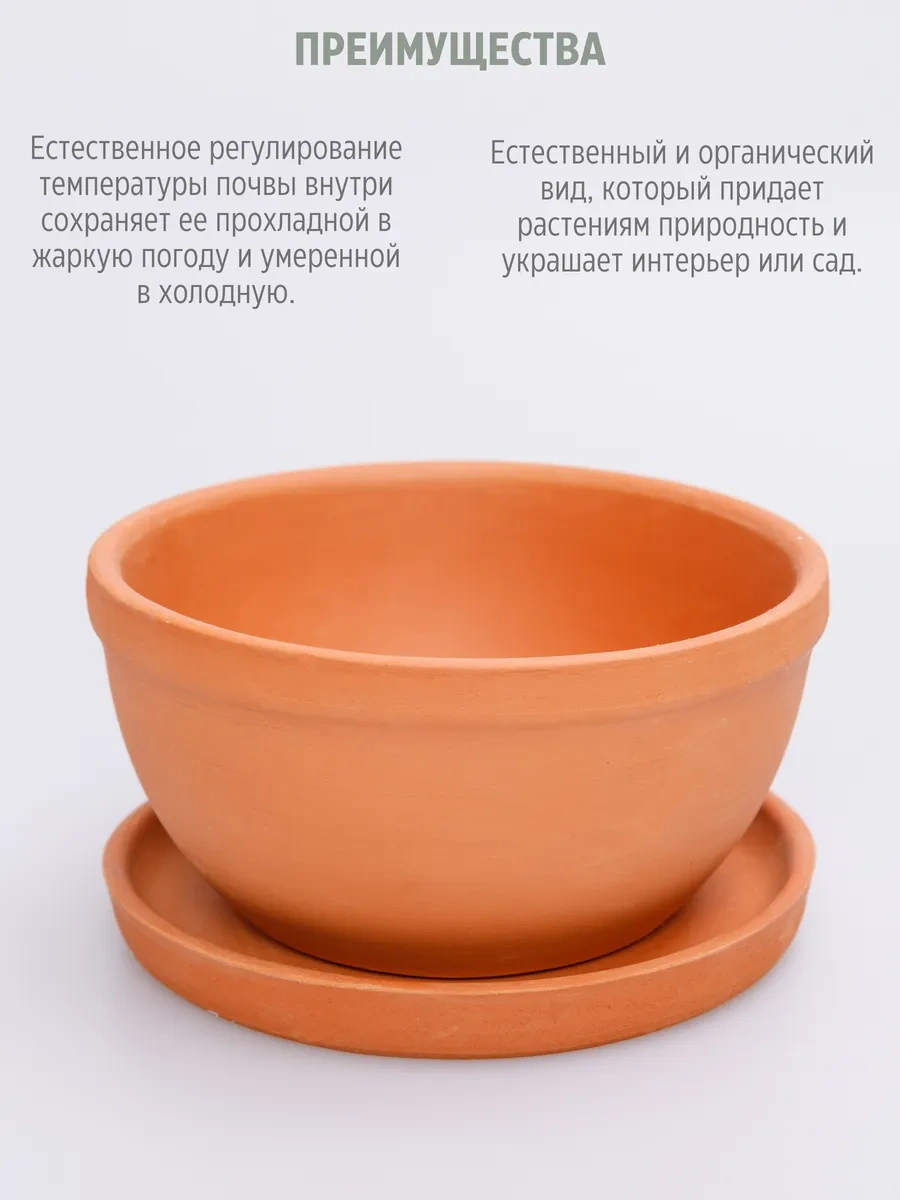 Wisty Düz Terakota Saksı Sualtı Kabı, 0,6 Lt, Altlık İle 330903968