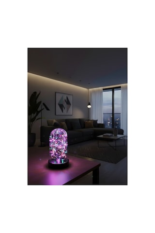 Led Işıklı Ters Fanus 3 Metre Peri Tel İle Birlikte Rgb Renkli Teraryum Dekoratif Organizasyon Çok Renkli