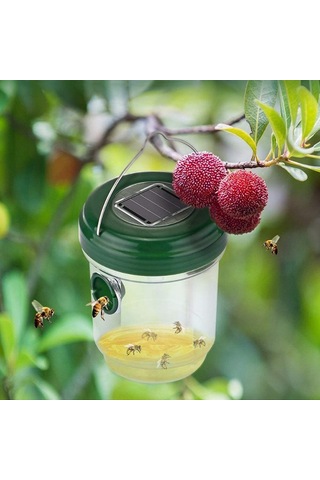 Hfambition Güneş Enerjili Led Işılı Yeşil Arı Tuzağı - Çift Girişli, Yeniden Kullanılabilir Bahçe/orman Kullanıma Uygun 2 Adet