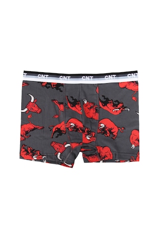 Erkek Çocuk 6'lı Karışık Desenli Boxer - Özel Kutusunda Çok Renkli