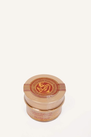 Skinfood Salmon Concealer Kapatıcı Krem 02 10 G