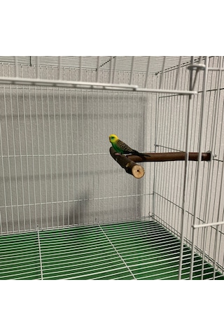 Vkemall Kuş Eğitimi Ahşap Standı - 18x15cm T Tipi Konaklama Ve Oyun Platformu