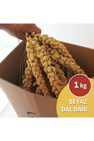 Dal Darı Net Beyaz Dal Darı 1 KG