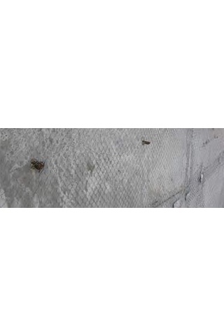 Rabis Teli 50x150(50Ad Top)