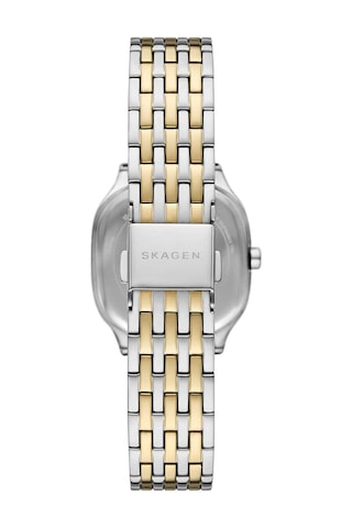 Skagen Watches Skw3160 Kadın Kol Saati Metalik Gri