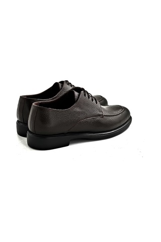 Brown Morus