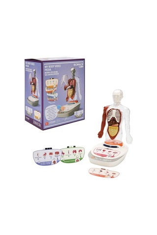 Sunman S00005280 Bilim Set İnsan Vücudu Modeli 23prç -sun