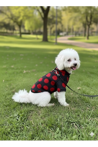 Kedi - Köpek Mevsimlik - Kışlık Triko Kazak - Sweat - Mont - Yelek