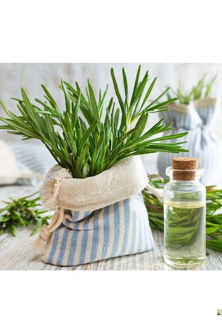 Doğaltercih Doğal Ve Saf Biberiye Suyu Hidrosol 100 ML