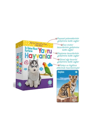 Circle Toys Dokun - Hisset - Tanı Yavru Hayvanlar Eğitim Kartları
