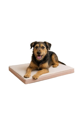Easymat, Çift Taraflı Kullanılabilen, Çıkarılabilir Kılıflı, Yıkanabilir, Kedi Ve Köpek Matı Açık Bej-bej