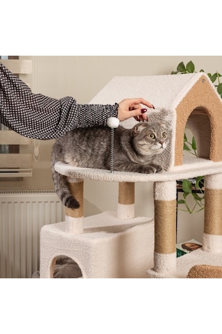 Raikou Karamel Kedi Ağacı 3 Katlı Tırmalama Direği Yatak ve Oyuncaklar