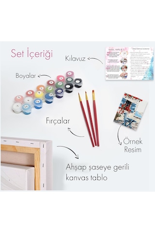 Sayılarla Boyama Seti 40 X 50 Cm Tuval Şasesine Gerili Baykuşlar