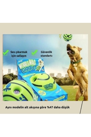 Raikou Köpek Topu İnteraktif Oyun Topu