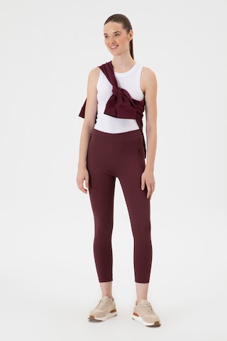 U.S. Polo Assn. Kadın Bordo Yüksek Bel Toparlayıcı Günlük Tayt 50314365-VR177