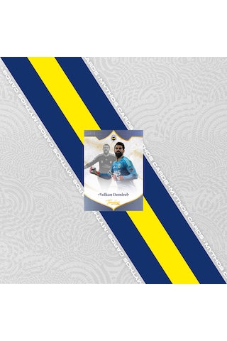 Fenerbahçe 2025-26 Sezon Kartları - Kutu