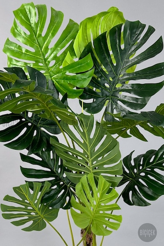 Biçiçek Yapay Monstera Ağacı Deve Tabani 160 Cm Beyaz Vega Saksıda