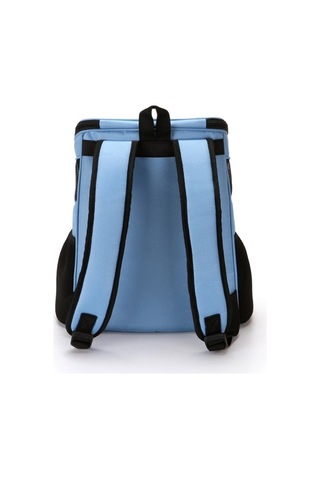 Dm Cbtx Taşınabilir Katlanır Nefes Alabilir Evcil Hayvan Taşıyıcı Sırt Çantası, 45x36x31cm Mavi