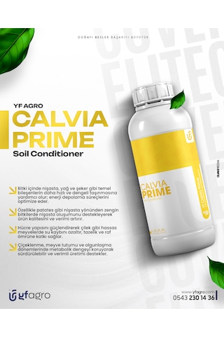 Yf Agro Calvıa Prıme 5 Lt Kalsiyum Asetat 5 KG