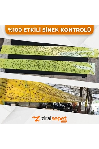 Sinek Yakalama Bandı 30x50 Metre