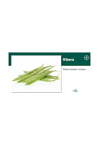 Seminis Ribera Oturak Fasulye Tohumu 1 Kg