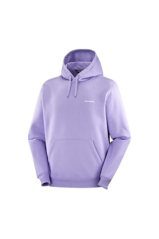 Salomon Salomon Logo Hoodıe M 51143 Çok Renkli