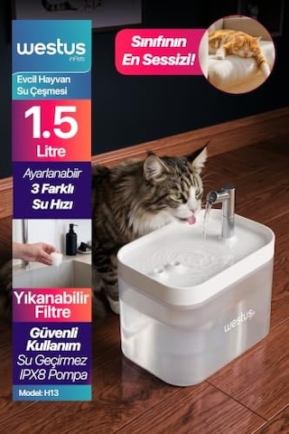 Westus İnpets H13 1.5 Litre Ultra Sessiz Evcil Hayvan Kedi Köpek Su Pınarı Çeşmesi / Su Sebili Şelalesi / 3 Akış