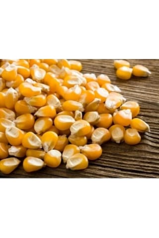 Tane Mısır 3 Kg Yemlik Mısır Yem Mısır Hayvan Yemi Mısır Yemi