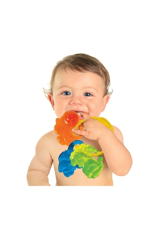 Baby Clementoni Renkli Hayvanlar - Dişlik