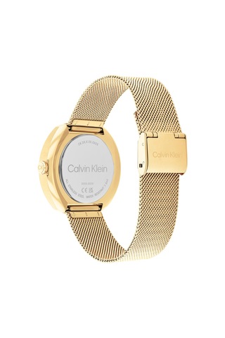 Calvin Klein Ck25200339 Kadın Kol Saati