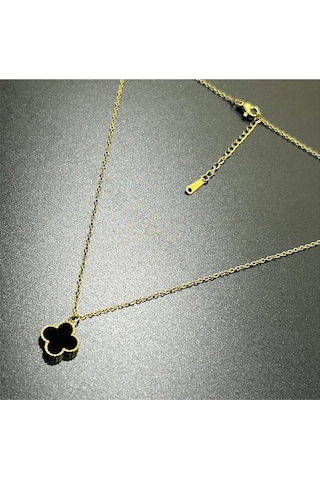 Van Figürlü, Paslanmaz Çelik Kolye 228, Zincir Altın Renk, Figür Siyah Altın