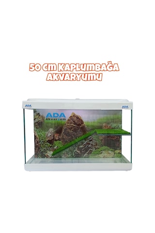 Ada Akvaryum Su Kaplumbağası Akvaryumu Bahçeli Rampalı Dinlenme 50x30x25 Cm Arka Plan Hediyeli