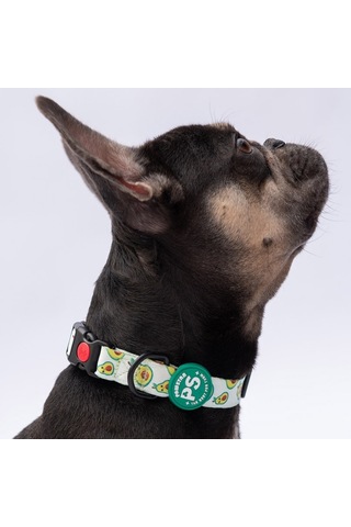 Avocado Avokado Desenli Köpek Boyun Tasması Ayarlanabilir Köpek Tasması Yeşil