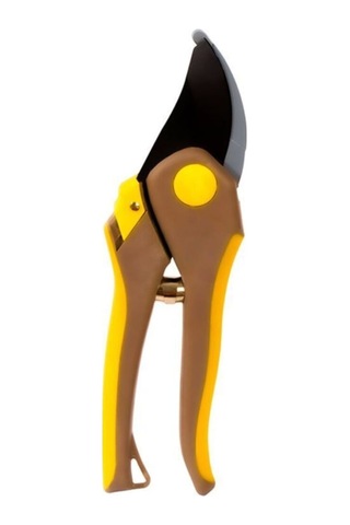 Sarı Yaş Dal Makası