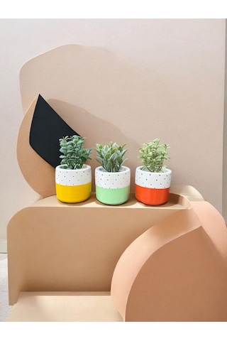 Renkli Saksı Seti Sukulent Kaktüs Dekoratif Eşya- Ev Dekorasyon - Saksı Seti 3