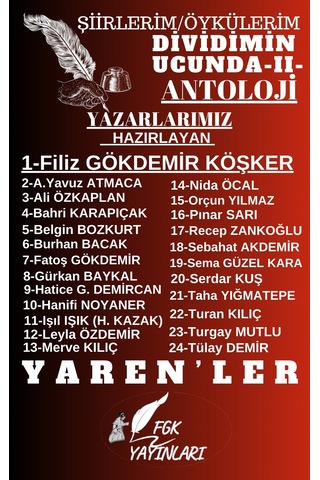 Dividimin Ucunda-2- Yarenler- Şiirlerim/öykülerim