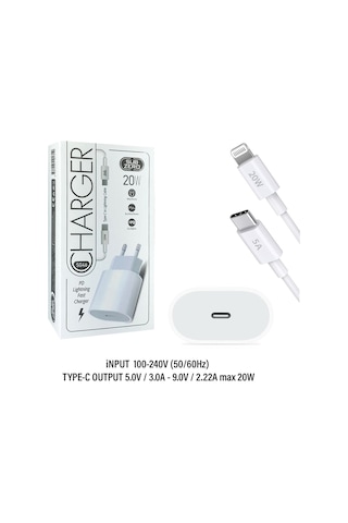 Apple Uyumlu iPad Mini 5 Mini 4 Mini 3 - 2 Tablet 20w Hızlı Şarj Aleti Adaptörü 20w Ligtning Şarj Kablosu