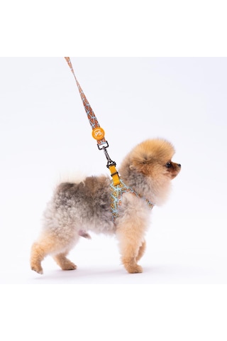Pizza Leash Kedi Köpek Sevk & Gezdirme Kayışı Köpek Uzatma Tasması-1,5cm Turkuaz