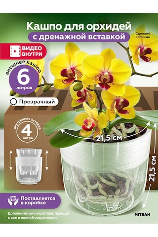 Mıtbah Orkide Saksısı Şeffaf Saksı 6 L 412404371