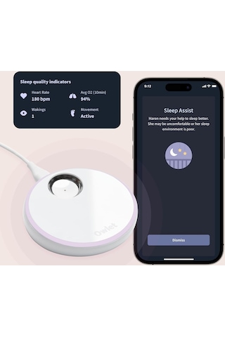 Owlet Dream Çorap - Akıllı Bebek Monitörü - Canlı Nabız, Oksijen Takibi - Nane