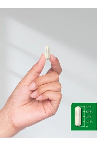 Mastic Gum 1500mg 100 Kapsül