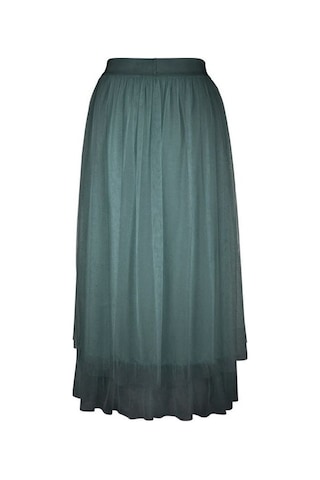 Bulalgiy Kadın Yeşil Etek - Bga075775